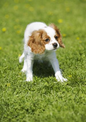 話し合いで葬儀の流れを決めます