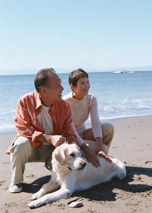 【2024年版】アサンテのシロアリ駆除サービス:即日対応と無料診断で安心をお届け