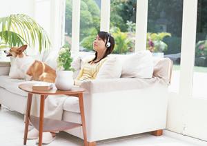 チワワ専門店のトリミングとホテル