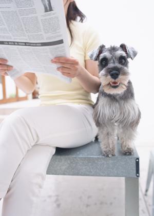 望月ドッグスタジアムの購入の流れ